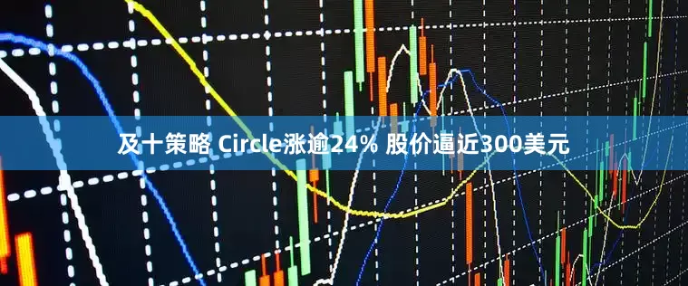 及十策略 Circle涨逾24% 股价逼近300美元
