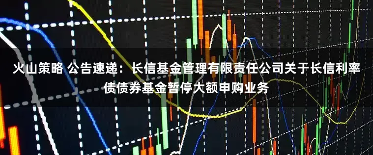 火山策略 公告速递：长信基金管理有限责任公司关于长信利率债债券基金暂停大额申购业务