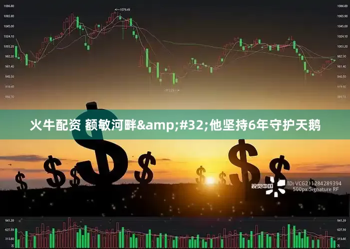 火牛配资 额敏河畔&#32;他坚持6年守护天鹅