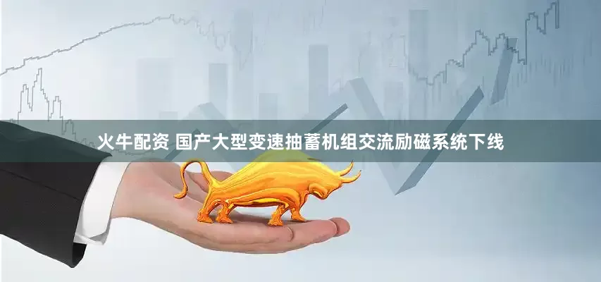 火牛配资 国产大型变速抽蓄机组交流励磁系统下线