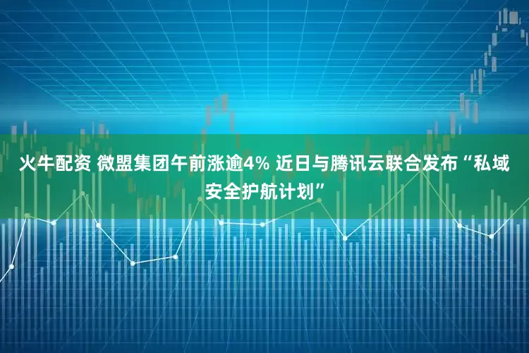 火牛配资 微盟集团午前涨逾4% 近日与腾讯云联合发布“私域安全护航计划”