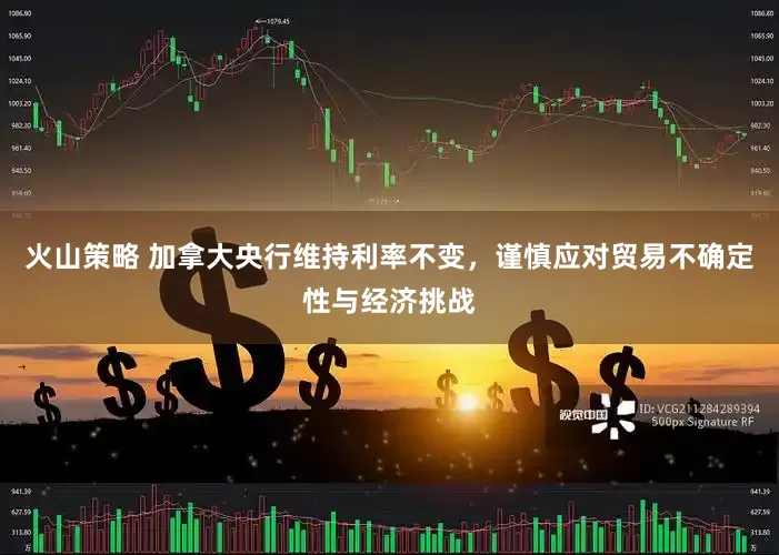 火山策略 加拿大央行维持利率不变，谨慎应对贸易不确定性与经济挑战