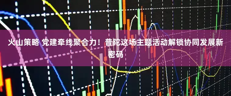 火山策略 党建牵线聚合力！普陀这场主题活动解锁协同发展新密码
