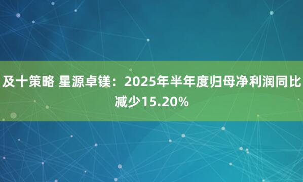 及十策略 星源卓镁：2025年半年度归母净利润同比减少15.20%
