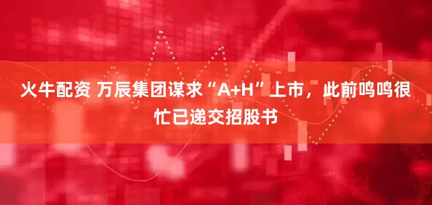火牛配资 万辰集团谋求“A+H”上市，此前鸣鸣很忙已递交招股书
